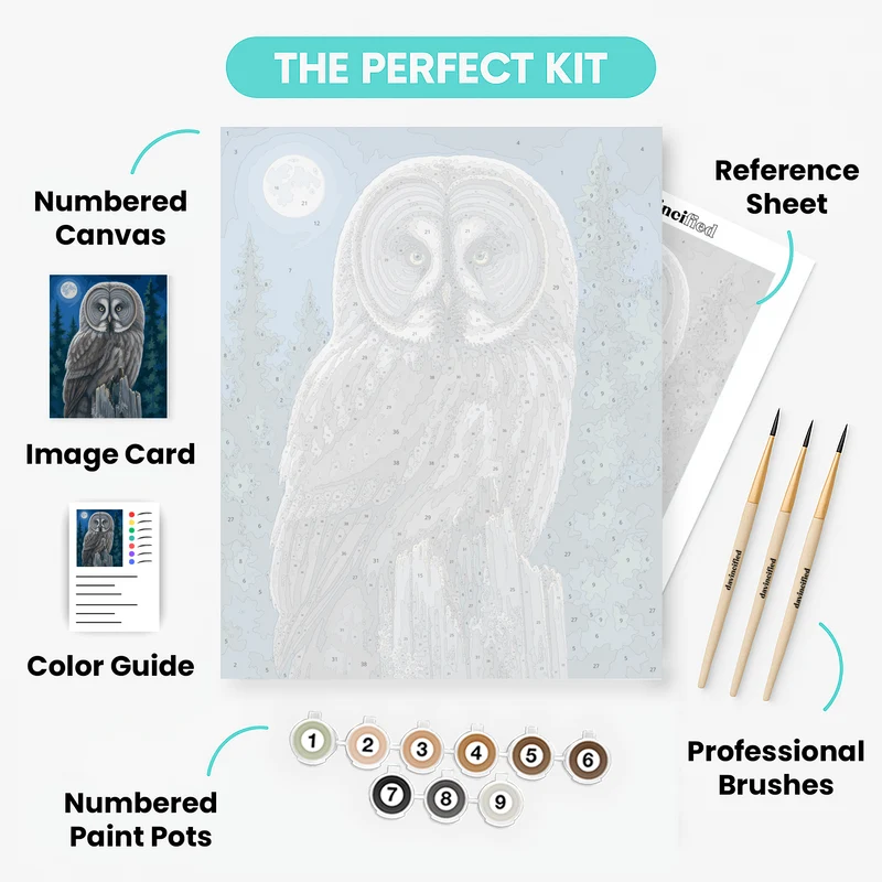 Great Grey Owl Under Moonlight - Paint by Numbers Kit
