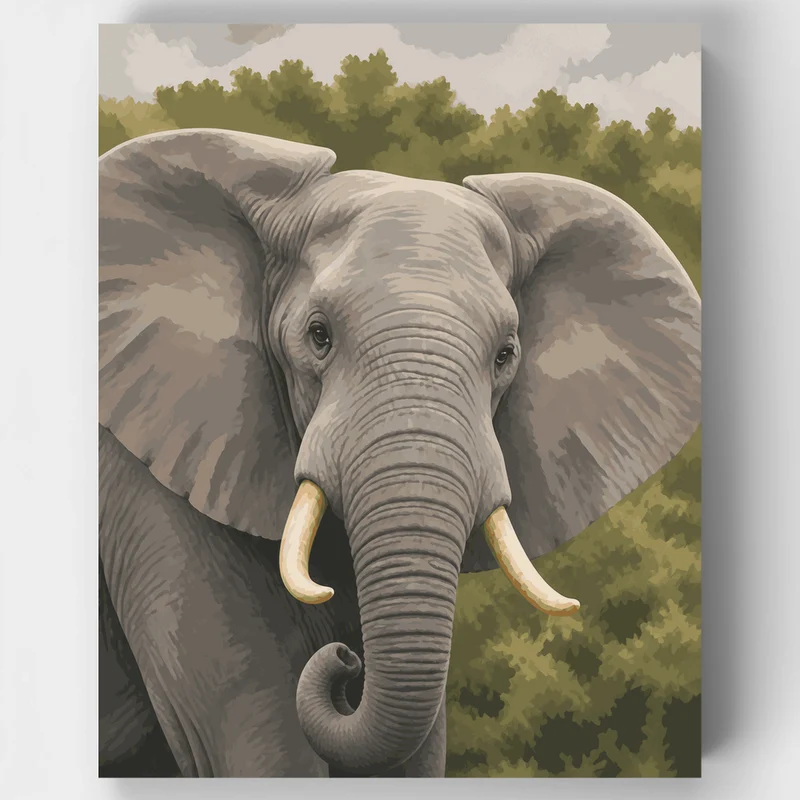 Addo Elephant Gaze - Paint by Numbers Kit