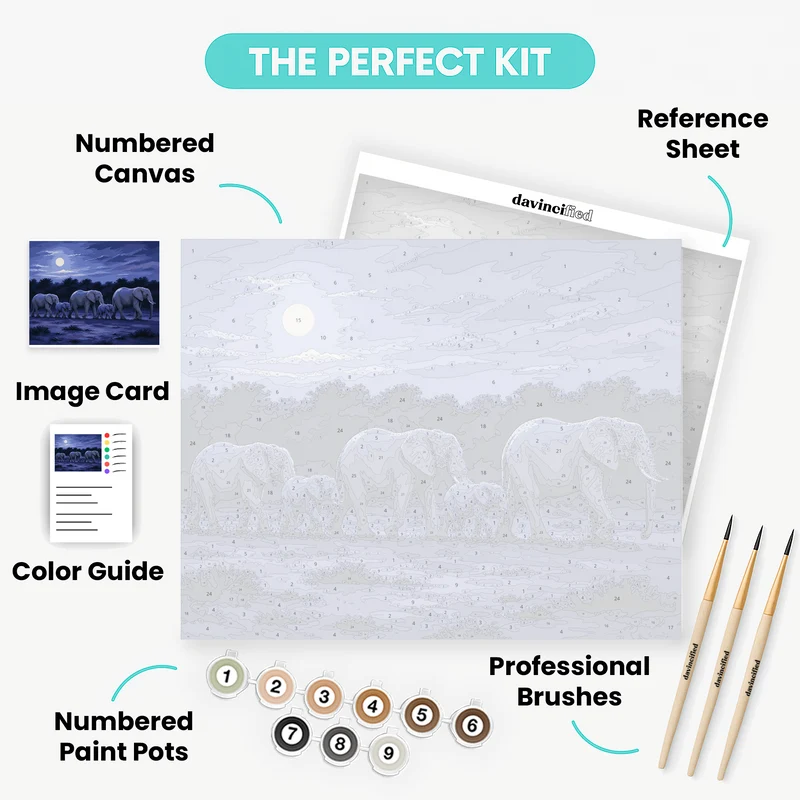 Moonlit Elephant Herd - Paint by Numbers Kit