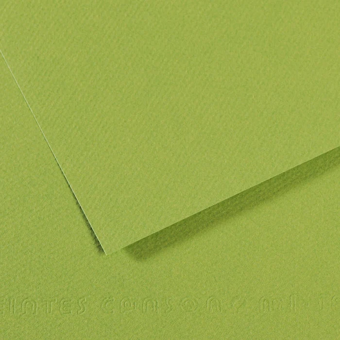 Papir za pastel CANSON Mi-Teintes A4 / 160 g/m² – 50 listova