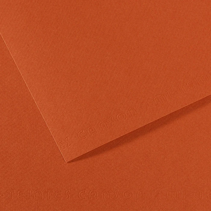 Pastellpapier CANSON Mi-Teintes A4 / 160 g/m² – 50 Blatt