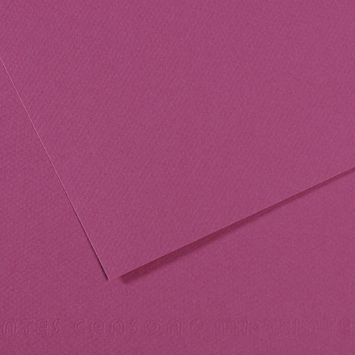Pastellpapier CANSON Mi-Teintes A4 / 160 g/m² – 50 Blatt