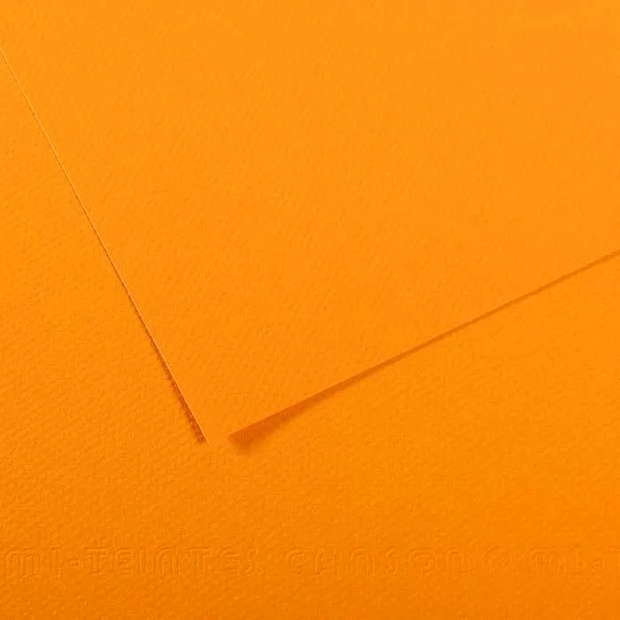 Tonpapier CANSON Mi-Teintes 50 x 65 cm – 160 g/m²
