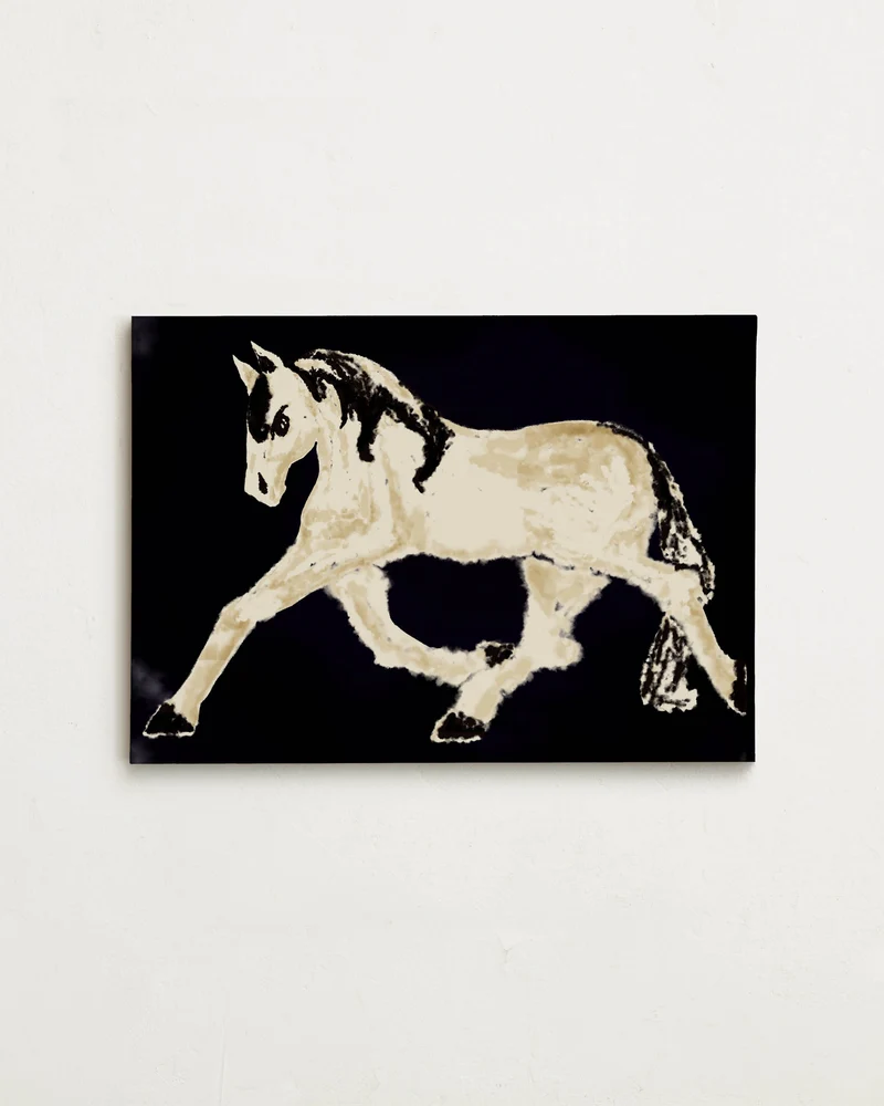 Canvas - Trotting Pony - Night