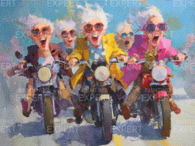 Diamond Painting Gemütliche Damen beim Motorradfahren