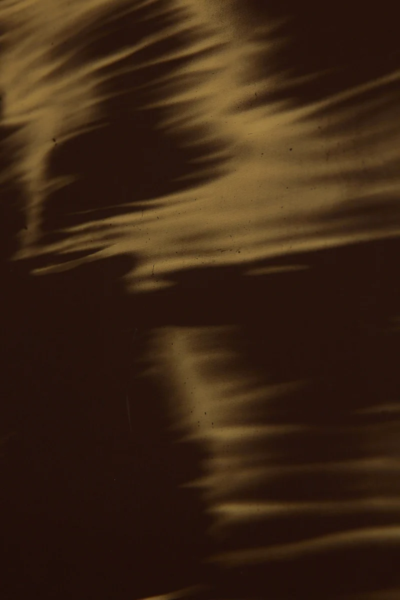 Fleeting
