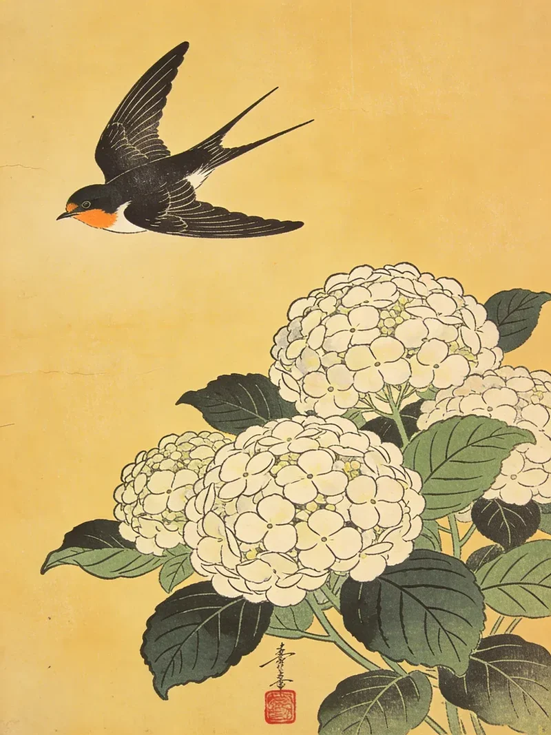 Diamond Painting Schwalbe über weißen Hortensien Japan