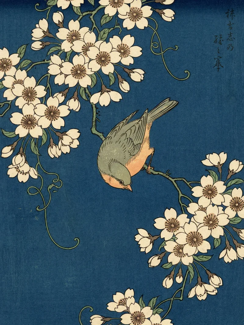 Malen nach Zahlen Blütennacht Japan