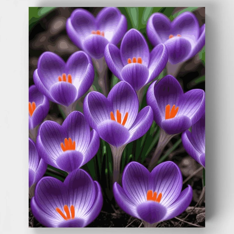 Purple Crocus Flowers - Paint by Numbers Kit