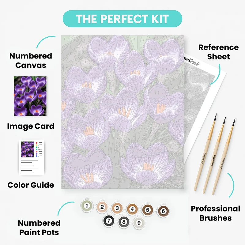 Purple Crocus Flowers - Paint by Numbers Kit