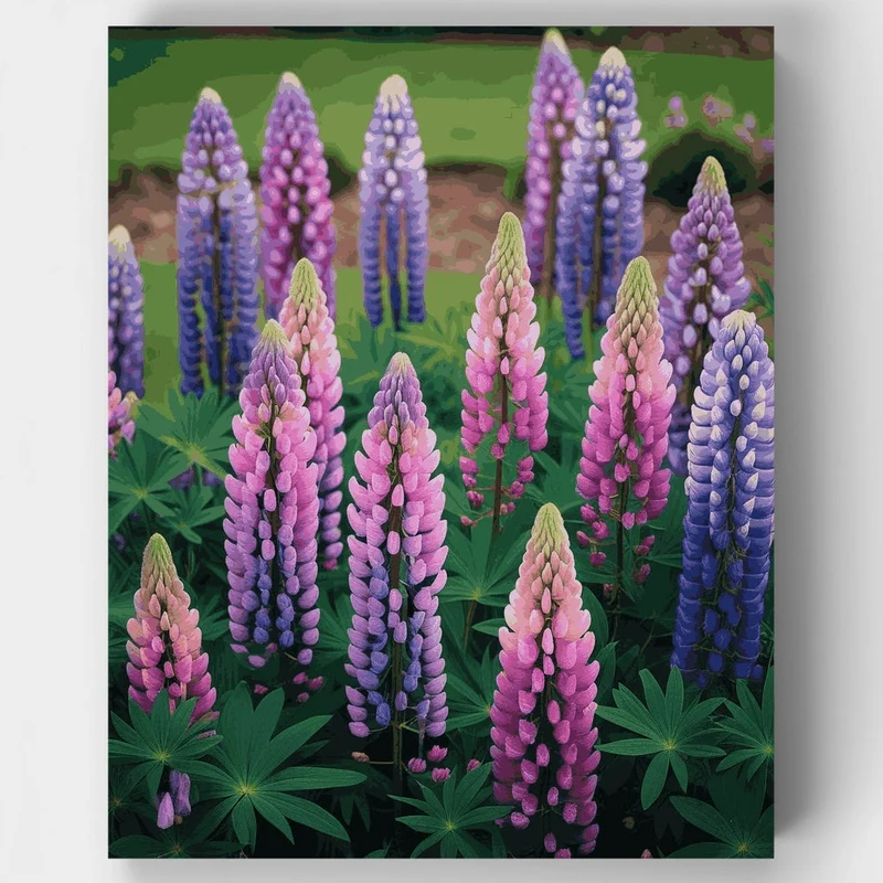 Lupine Flowers - Paint by Numbers Kit