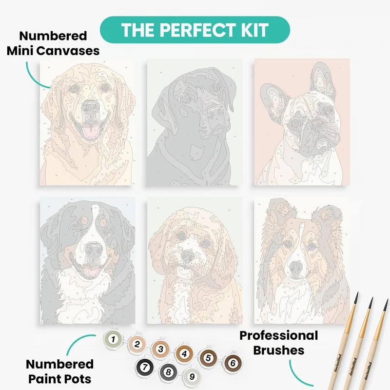 Beloved Dog Portraits Collection - Mini Paint by Numbers Set