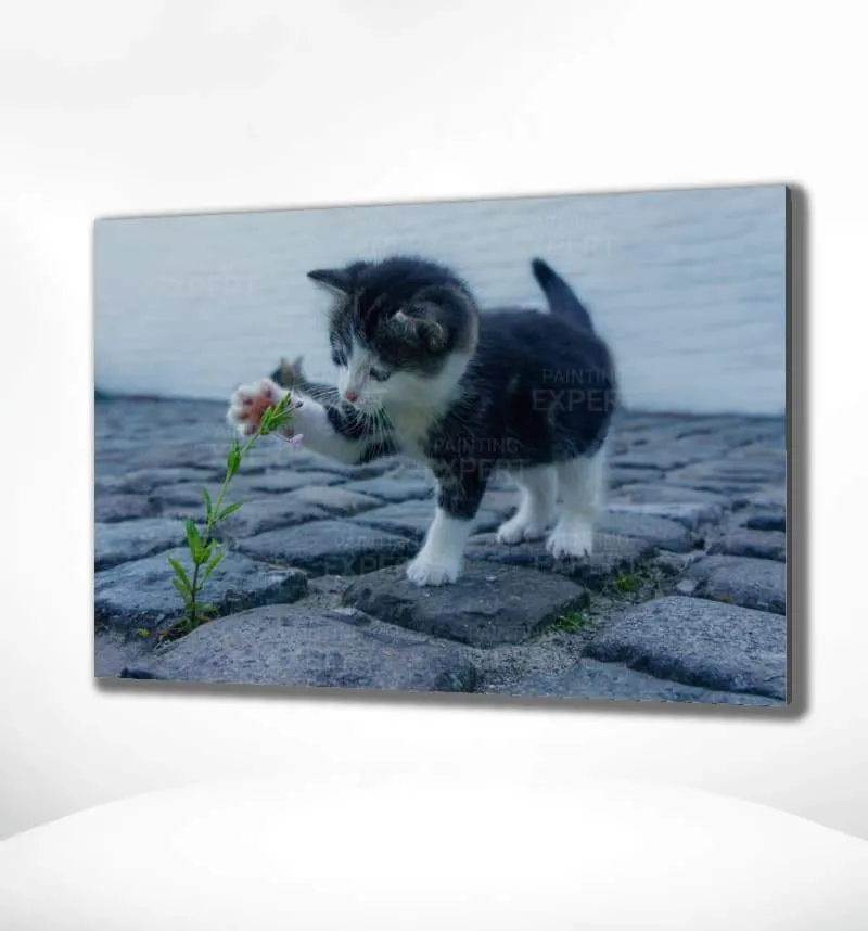 Malen nach Zahlen Spielende Katze