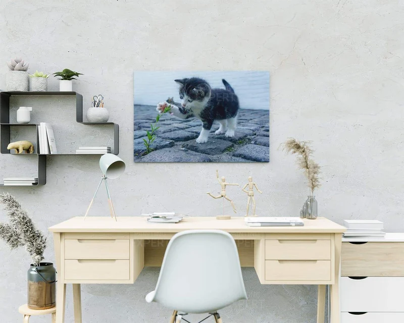 Malen nach Zahlen Spielende Katze