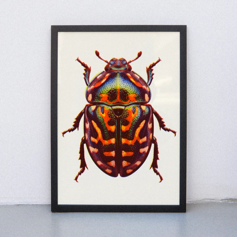 Neon Bug (DIN A3) | Edition SCHEE | Risographie