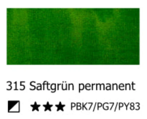 LIQUITEX Professional Acrylic Ink - Saftgrün Permanent 315 (30ml)