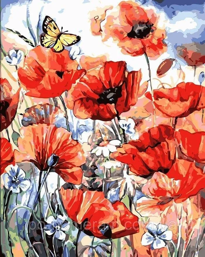Malen nach Zahlen Mohnblumen mit Schmetterling