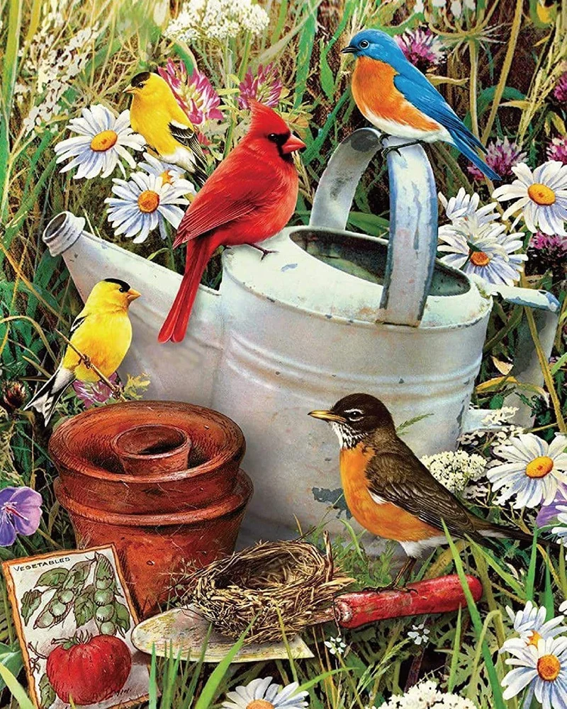 Malen nach Zahlen Rot, blau und gelb Vögel