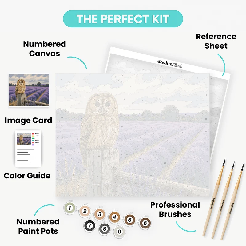 Owl of the Lavender Fields - Paint by Numbers Kit