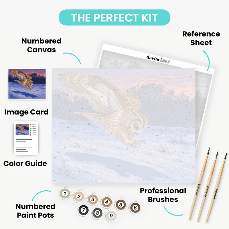 Twilight Owl Dive - Paint by Numbers Kit