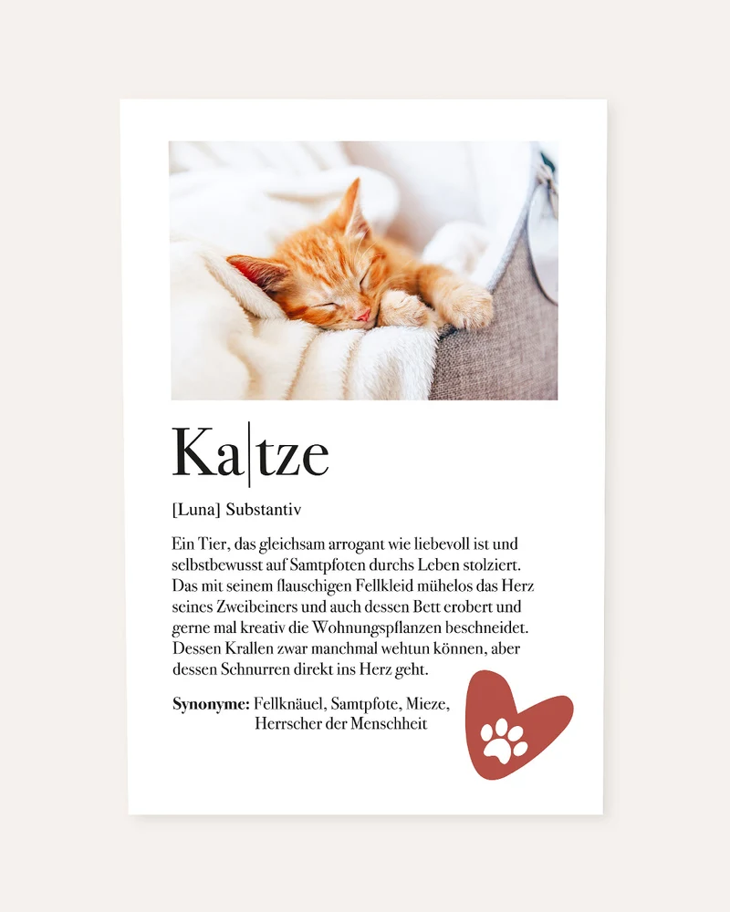 Definition Katze - Foto-Poster