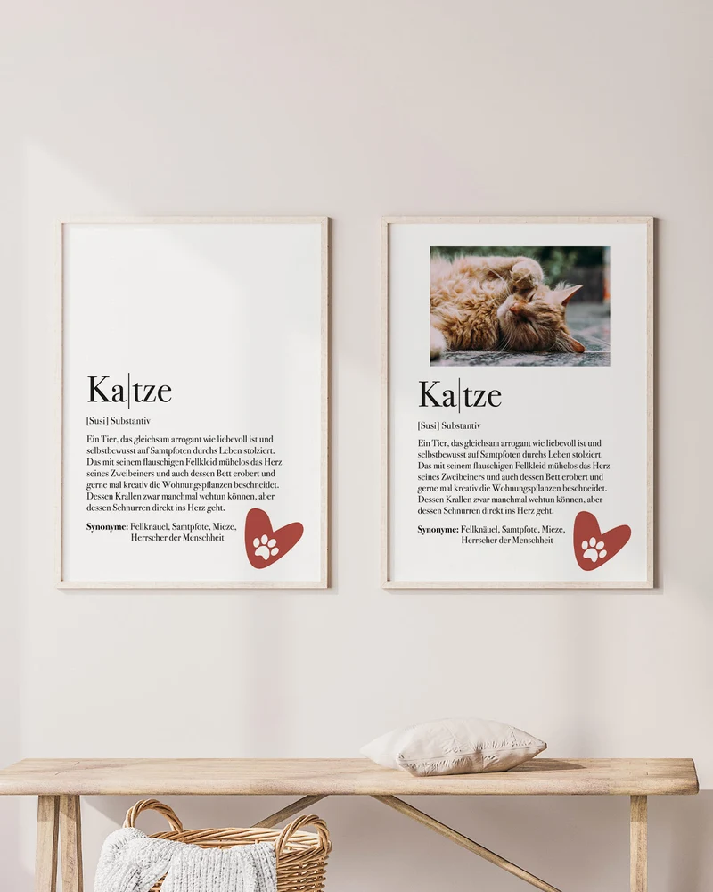 Definition Katze - Foto-Poster