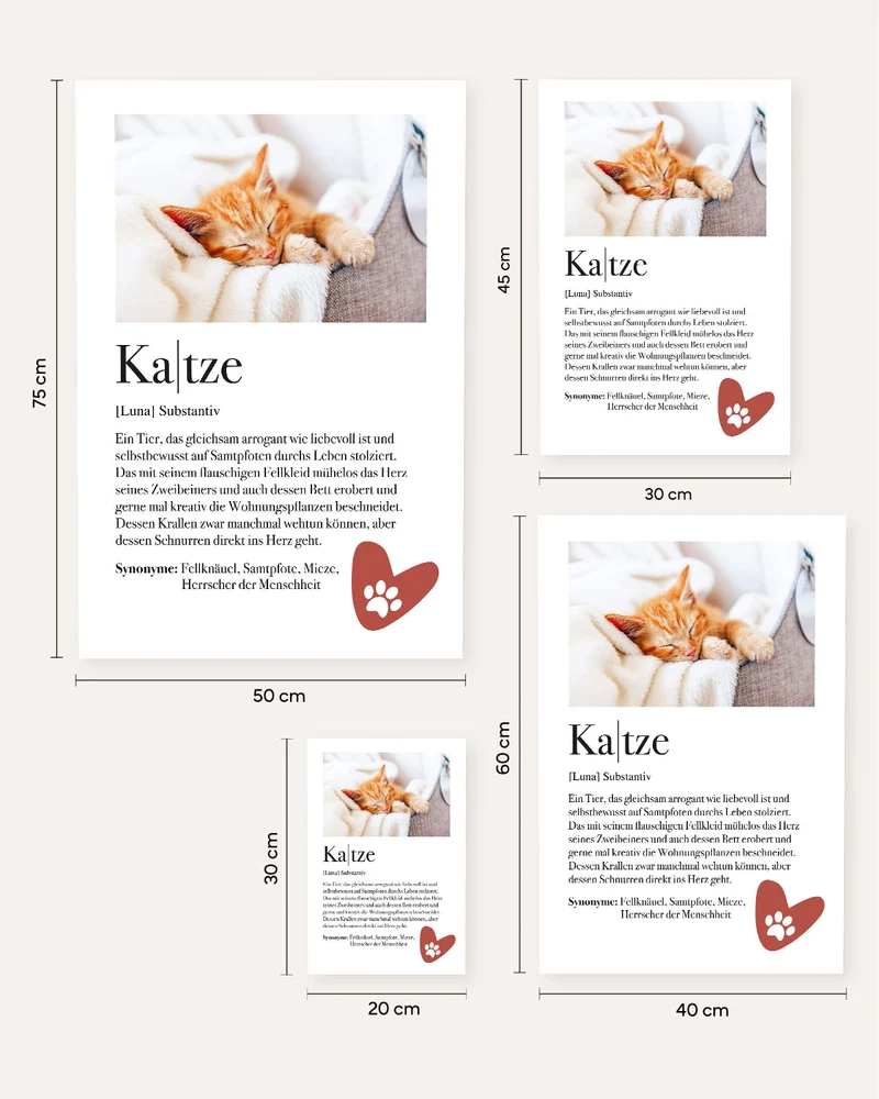 Definition Katze - Foto-Poster