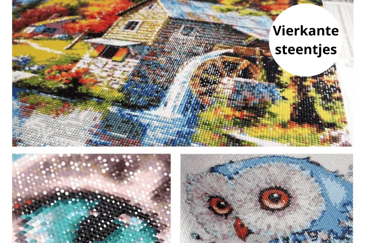 Diamond Painting Spatzen auf einem Zweig