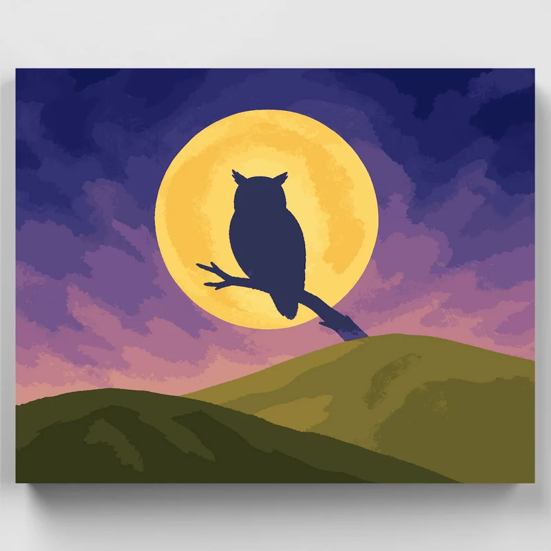 Owl in Moonlight - Paint by Numbers Kit