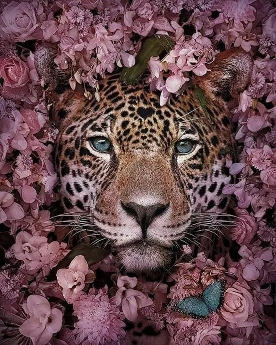 Diamond Painting Tiger mit Blumen