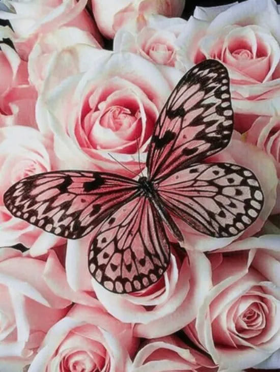 Diamond Painting Schmetterling mit Blumen