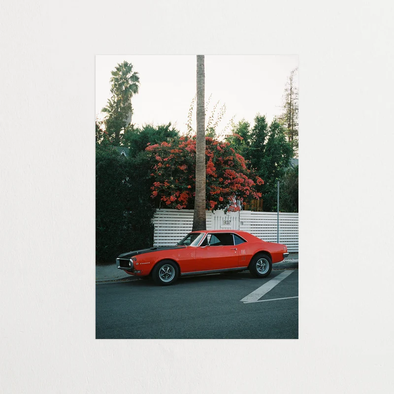 DRIVE