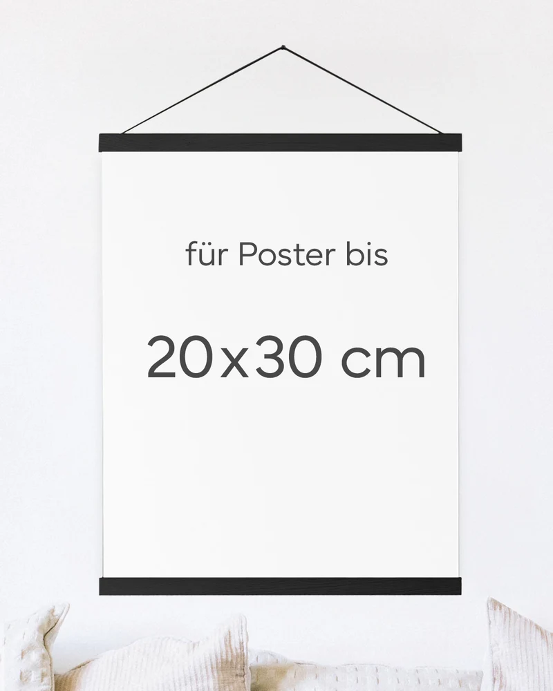 Posterleiste 20x30 cm Schwarz