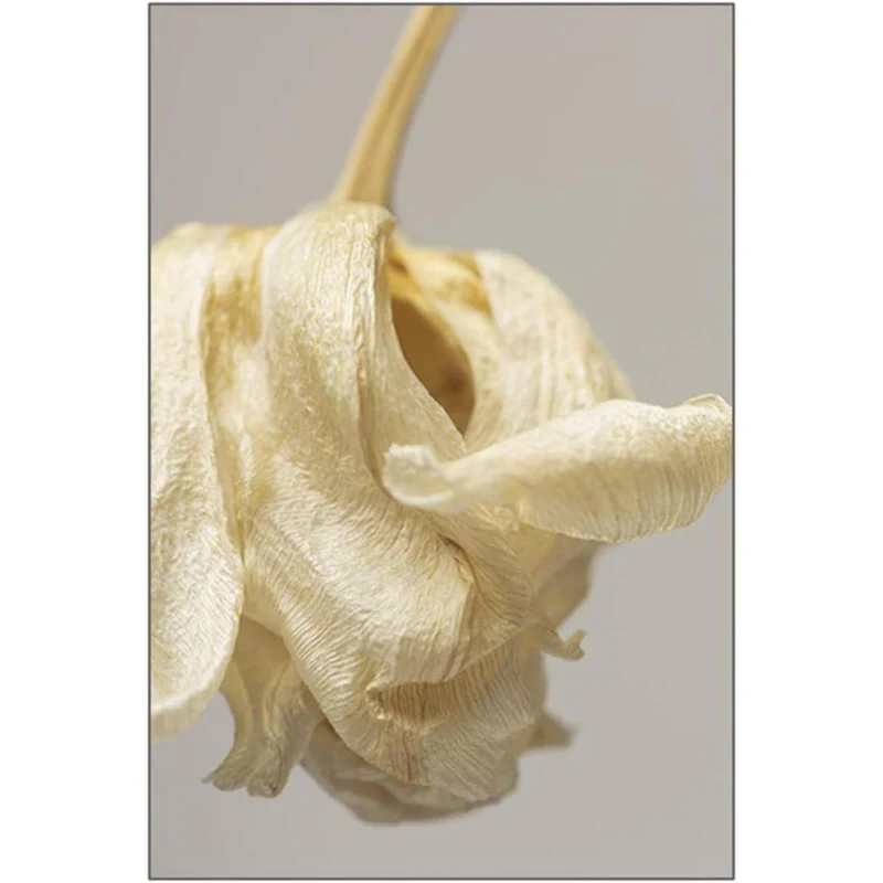 3er Poster Set Beige Blumen Wandbilder 40x50 cm