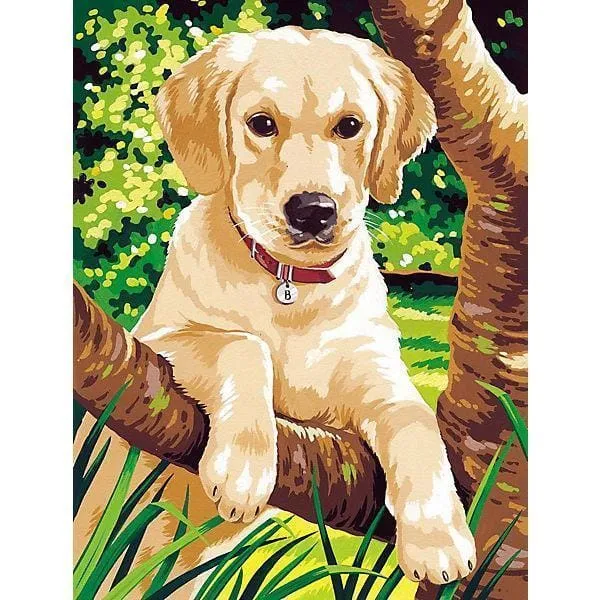 Malen nach Zahlen Puppy Labrador