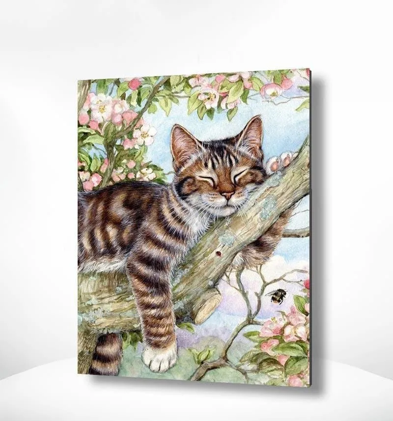 Malen nach Zahlen Schlafende Katze im Baum
