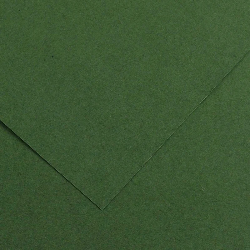 CANSON Iris Vivaldi carta colorata 70 x 100 cm 240 g 25 fg