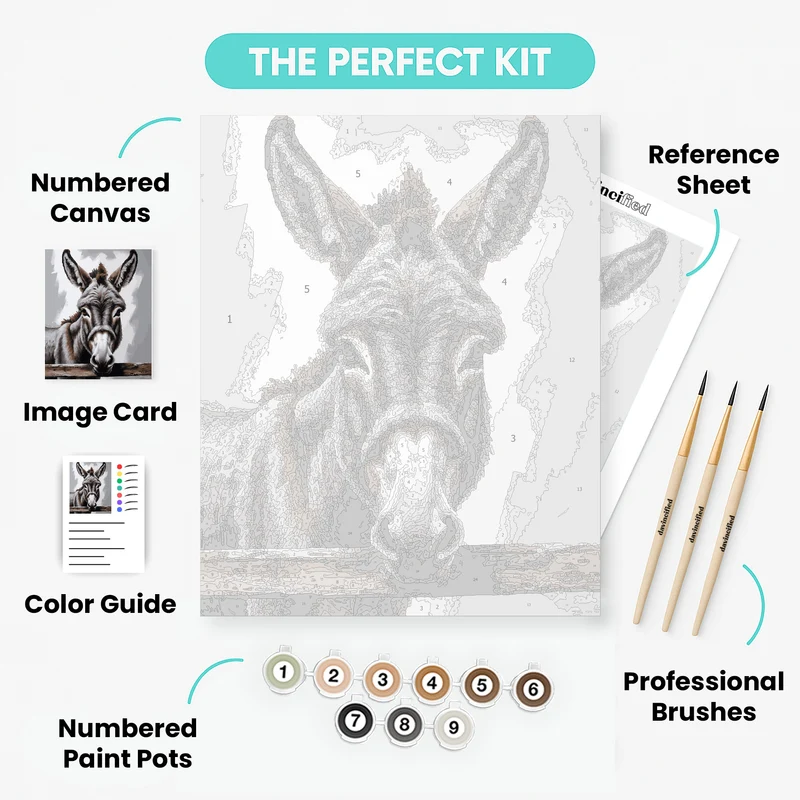 Expressive Donkey Portrait - Paint by Numbers Kit
