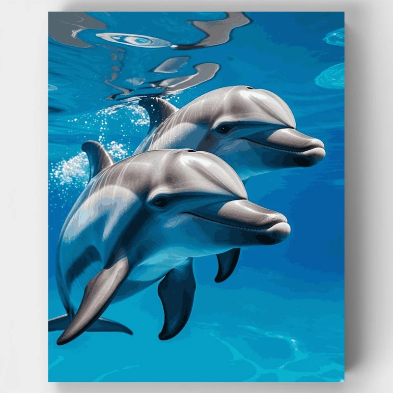 Two Dolphins Swimming Underwater - Paint by Numbers Kit