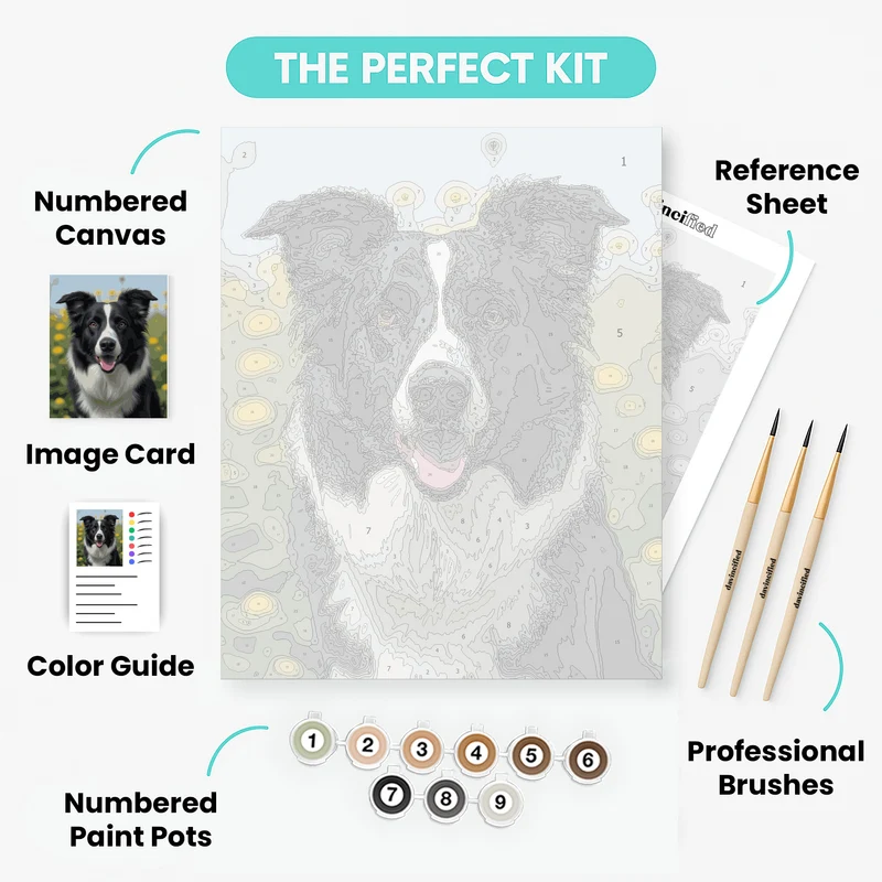 Border Collie in Sunflower Field - Paint by Numbers Kit