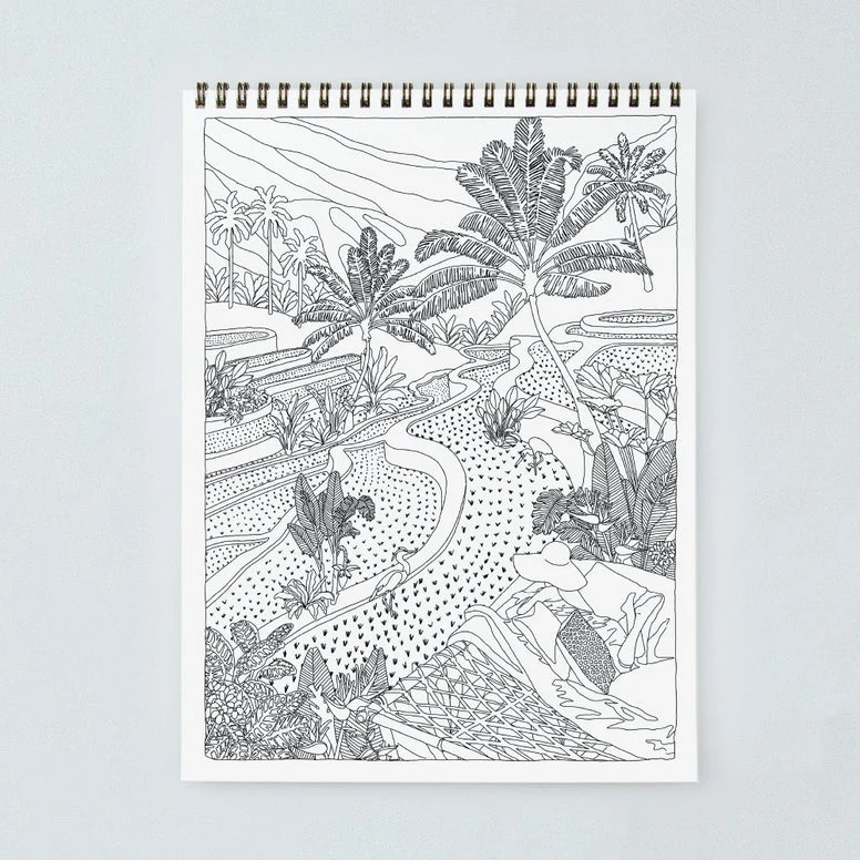 Malbuch “Cactus & Plants” | Illustrationen für Pflanzenfans | ALL THE WAYS TO SAY