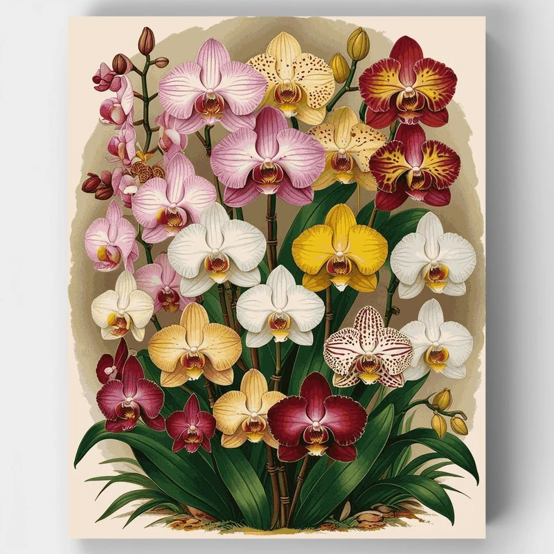 Orchid Garden Splendor - Paint by Numbers Kit
