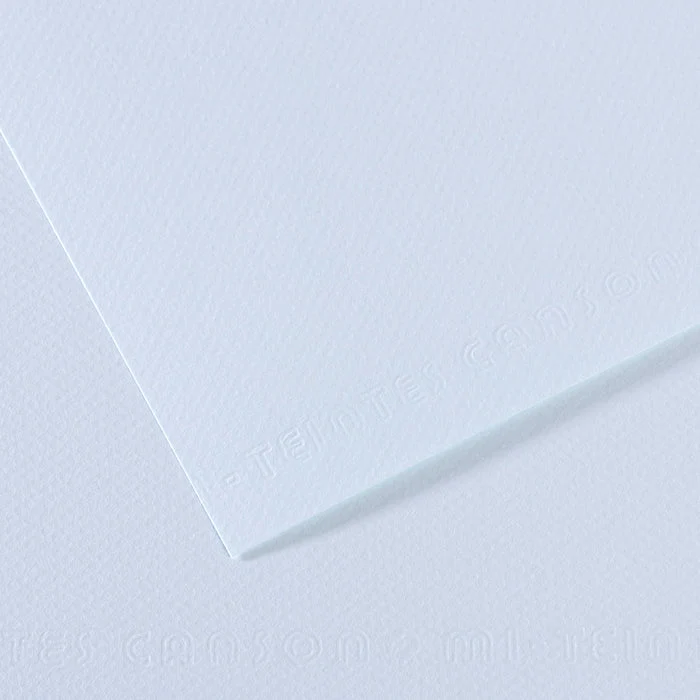 Canson Mi-Teintes χαρτί για παστέλ 50 x 65 cm 160 g 25H