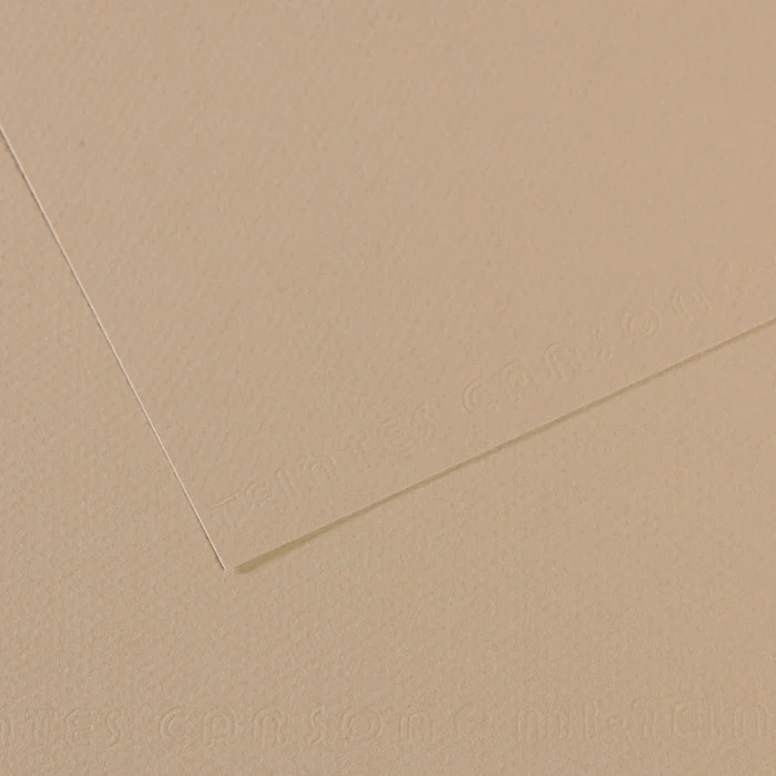 Canson Mi-Teintes χαρτί για παστέλ 50 x 65 cm 160 g 25H