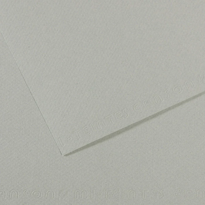 Canson Mi-Teintes χαρτί για παστέλ 50 x 65 cm 160 g 25H