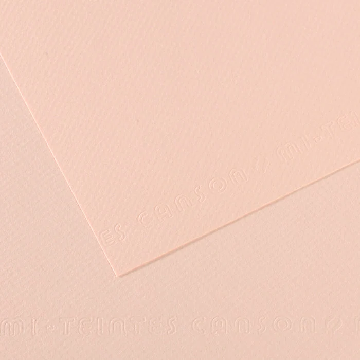 Canson Mi-Teintes χαρτί για παστέλ 50 x 65 cm 160 g 25H