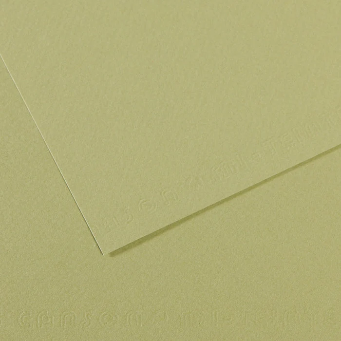 Canson Mi-Teintes χαρτί για παστέλ 50 x 65 cm 160 g 25H