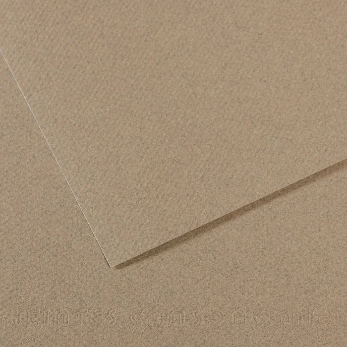 Canson Mi-Teintes хартия за пастел 50 x 65 см 160 g 25 листа
