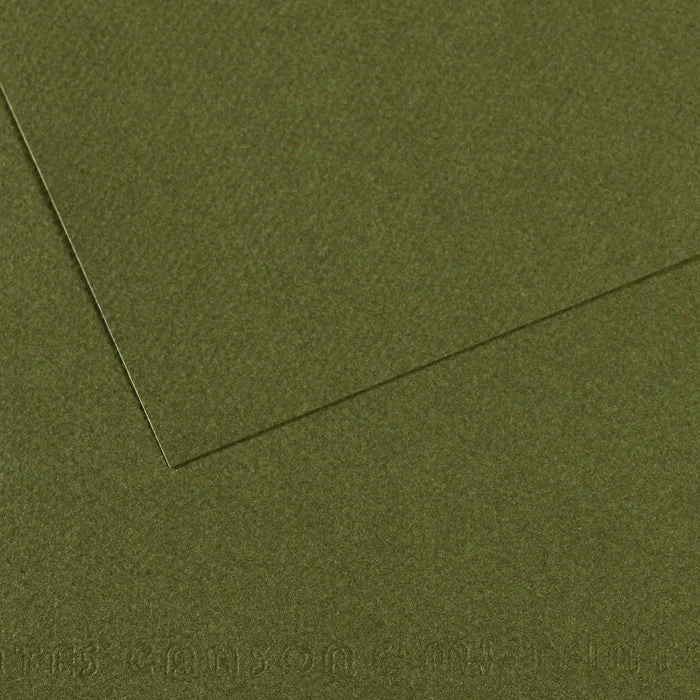 Canson Mi-Teintes Pastellpapier 50 x 65 cm 160 g 25 Blatt
