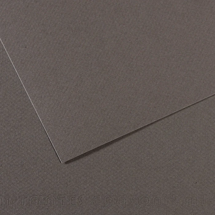 Canson Mi-Teintes Pastellpapier 50 x 65 cm 160 g 25 Blatt